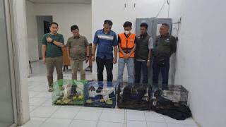 Balai Gakkumhut Sumatera Amankan 7 Burung Dilindungi di Deli Serdang, Satu Tersangka Ditahan